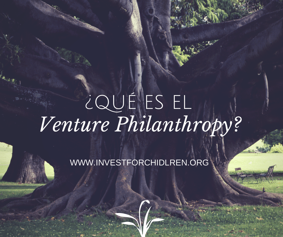 what is Venture Philanthropy-